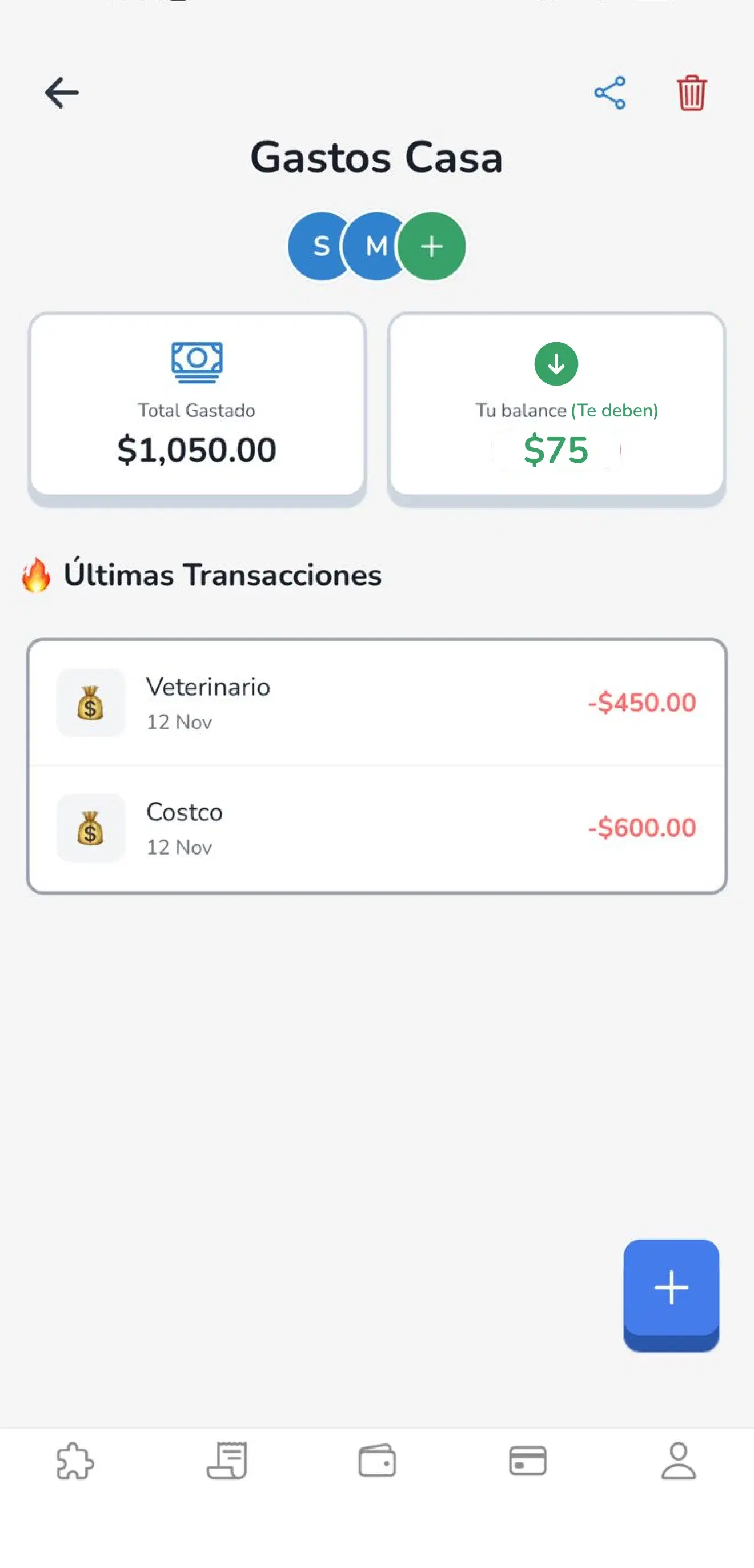 Budget management interface